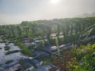 김영진(전남영광)님의 기타작물 · 자유게시판 작성글 사진
