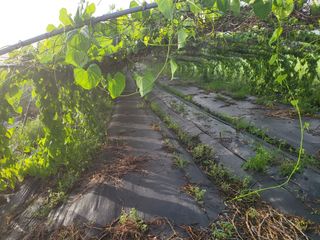 김영진(전남영광)님의 기타작물 · 자유게시판 작성글 사진