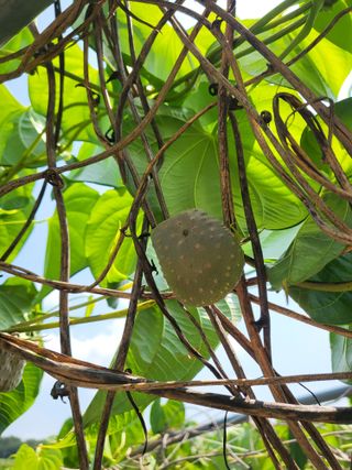 김영진(전남영광)님의 기타작물 · 자유게시판 작성글 사진