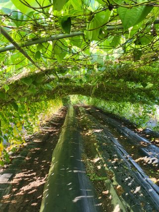 김영진(전남영광)님의 기타작물 · 자유게시판 작성글 사진