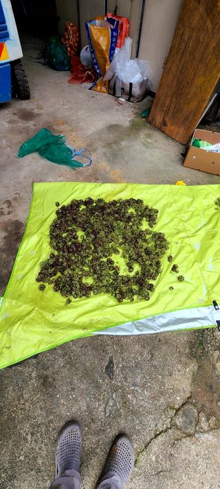 나무도깨비농원님의 작성글 사진