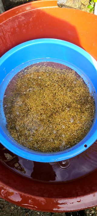 나무도깨비농원님의 작성글 사진