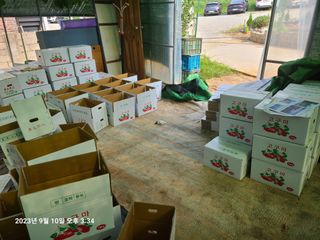 자연인님의 9월 내 작물 자랑하기 · 참여글 작성글 사진