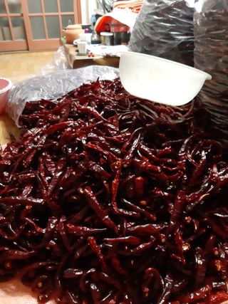 정영란님의 9월 내 작물 자랑하기 · 참여글 작성글 사진