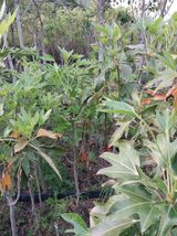 팜모닝 9월 내 작물 자랑하기·참여글 게시글 이미지