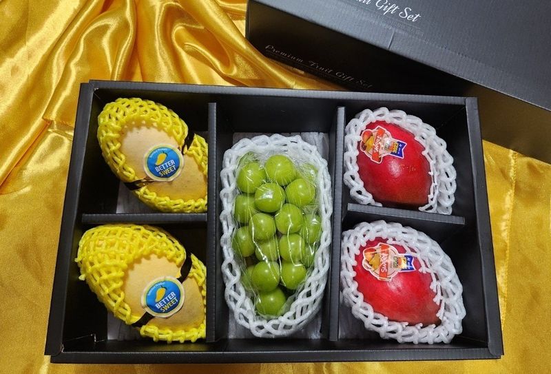 장터 상품 [망고혼합  선물셋트 ] 썸네일