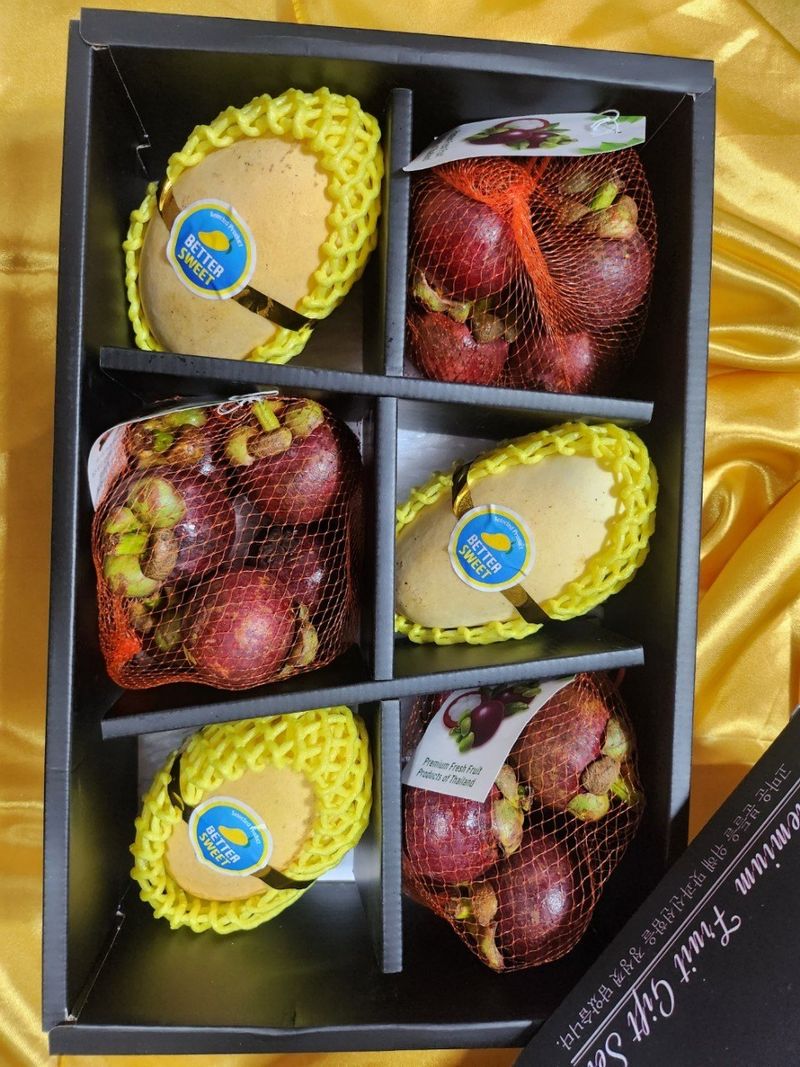 알 수 없음님의 장터 판매 상품 [망고혼합  선물셋트 ] 첨부 사진