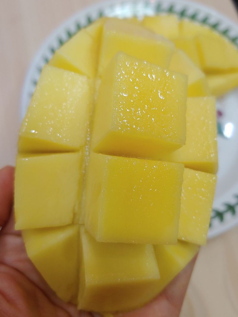 알 수 없음님의 장터 판매 상품 [망고혼합  선물셋트 ] 첨부 사진