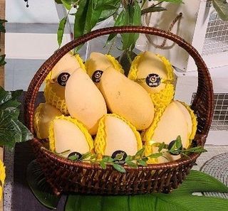 알 수 없음님의 작성글 사진