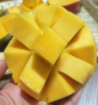 알 수 없음님의 작성글 사진