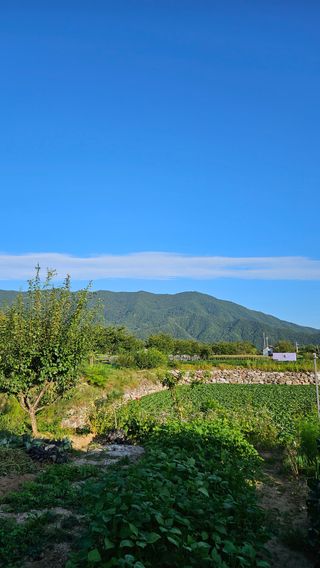 홍&이님의 9월 내 작물 자랑하기 · 참여글 작성글 사진