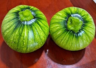 이미 (어리버리댁)님의 9월 내 작물 자랑하기 · 참여글 작성글 사진