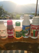 팜모닝 고추·영농일지 게시글 이미지