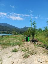 팜모닝 9월 내 작물 자랑하기·참여글 게시글 이미지