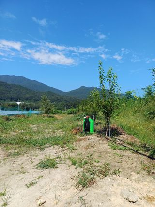 김 연님의 9월 내 작물 자랑하기 · 참여글 작성글 사진