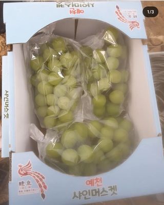 강희순님의 9월 내 작물 자랑하기 · 참여글 작성글 사진