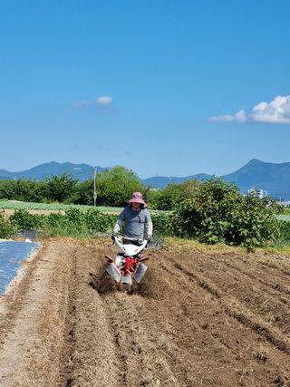 늘푸른 농장주님의 기타작물 · 영농일지 작성글 사진