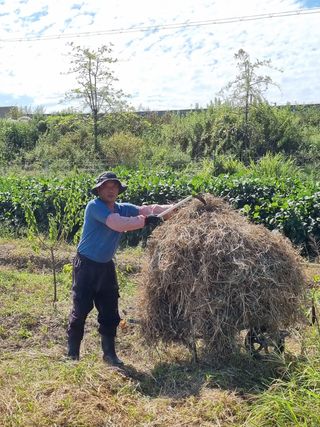 늘푸른 농장주님의 기타작물 · 영농일지 작성글 사진