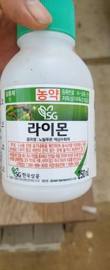 팜모닝 기타작물·영농일지 게시글 이미지