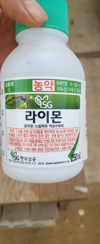 우성철님의 기타작물 · 영농일지 작성글 사진