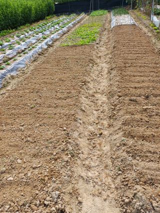 이철우님의 기타작물 · 자유게시판 작성글 사진