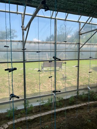 조성윤님의 오이 · 자유게시판 작성글 사진