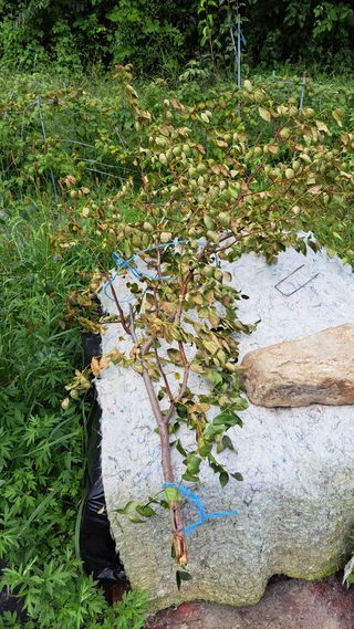 주윤발이님의 자유주제 · 자유게시판 작성글 사진