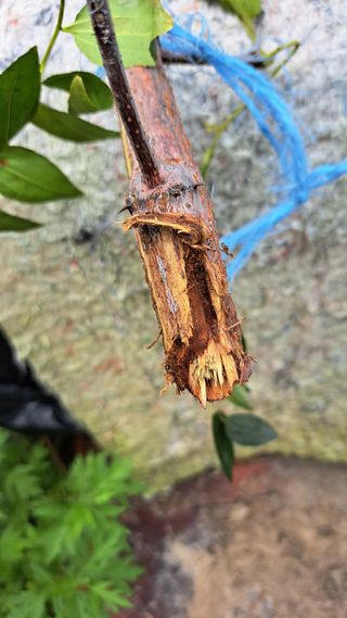 주윤발이님의 자유주제 · 자유게시판 작성글 사진