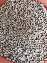 팜모닝 자유주제·자유게시판 게시글 이미지