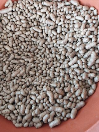 최남옥님의 자유주제 · 자유게시판 작성글 사진