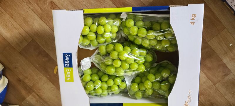 장터 상품 [샤인머스켓 2kg, 4kg] 썸네일