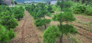 김우진님의 작성글 사진