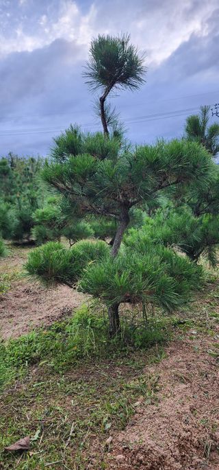 김우진님의 작성글 사진