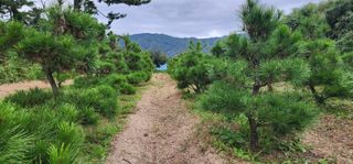 김우진님의 작성글 사진