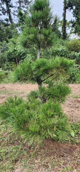 김우진님의 작성글 사진