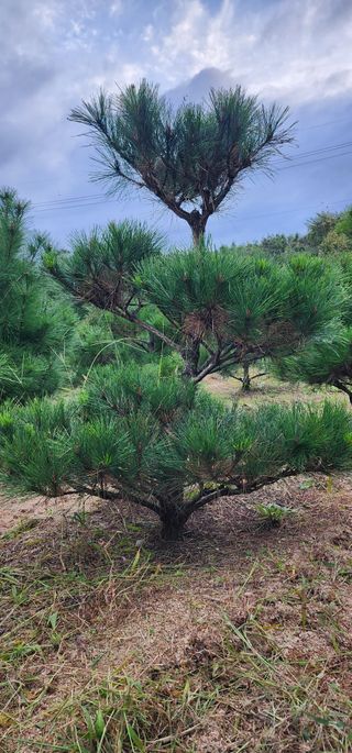 김우진님의 작성글 사진