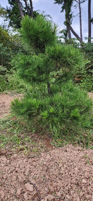 김우진님의 작성글 사진