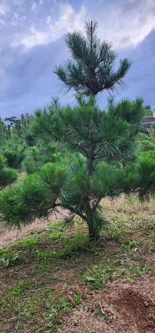 김우진님의 작성글 사진
