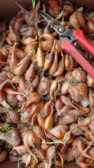 이용일님의 작성글 사진