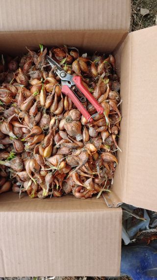 이용일님의 작성글 사진