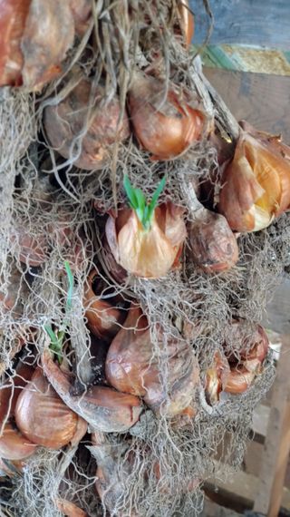 이용일님의 작성글 사진