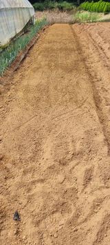 팜모닝 마늘·토양준비 게시글 이미지