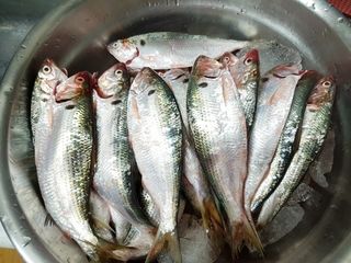 이경숙님의 자유주제 · 자유게시판 작성글 사진