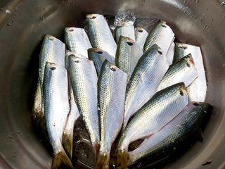 이경숙님의 자유주제 · 자유게시판 작성글 사진