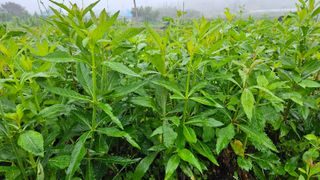 조병대님의 작성글 사진