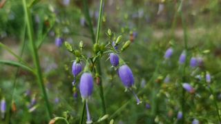 조병대님의 작성글 사진