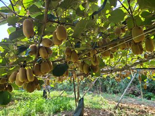 노고단님의 기타작물 · 자유게시판 작성글 사진