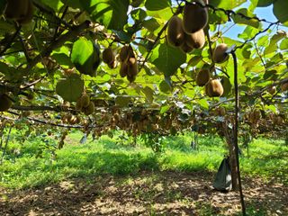노고단님의 기타작물 · 자유게시판 작성글 사진