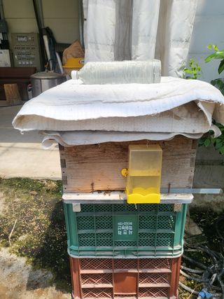 권오경님의 파 · 자유게시판 작성글 사진