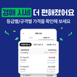 팜모닝님의 팜모닝공식 · 공지 작성글 사진